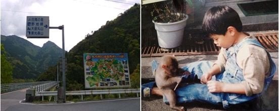ハメシュってなに？限界集落支える3種のジビエ