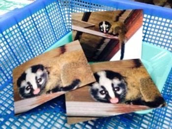 ハメシュってなに？限界集落支える3種のジビエ