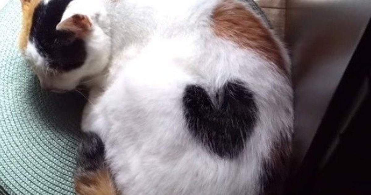 5c632f74360000150f6a4fa7.jpeg?