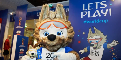 5c63321c3b0000b6036ad564.jpeg?