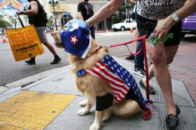 「キャプテン・アメリカ」のコスプレをする犬