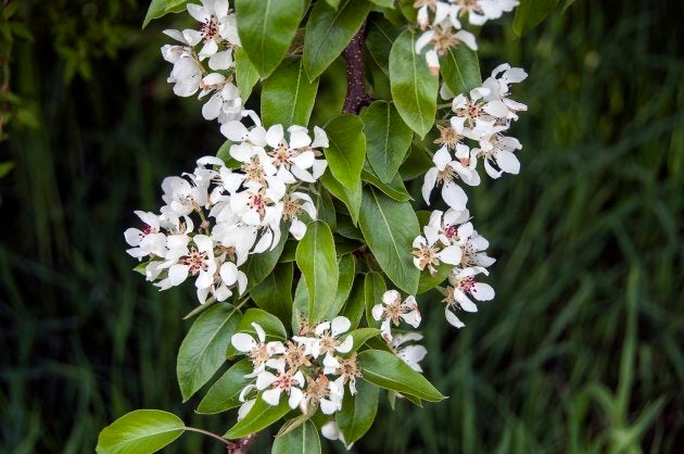 宝探しと春のタケノコ 驚くべき草マルチの世界 ハフポスト