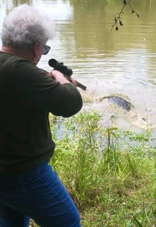 73歳のおばあちゃん、巨大なワニを捕獲。牧場のウマの仇を討つ