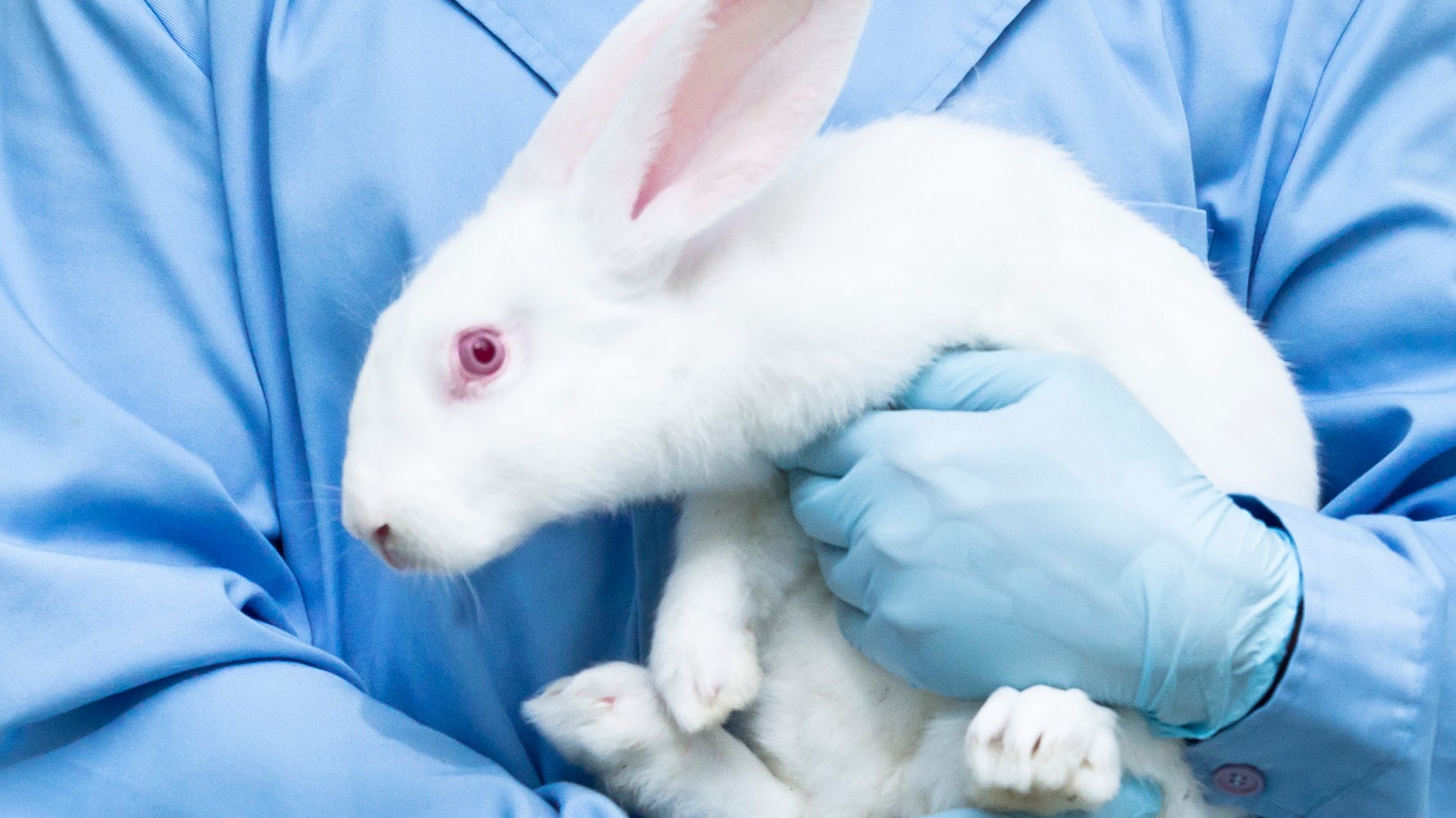 動物実験した化粧品の販売禁止 カリフォルニア州が法案に署名 ハフポスト