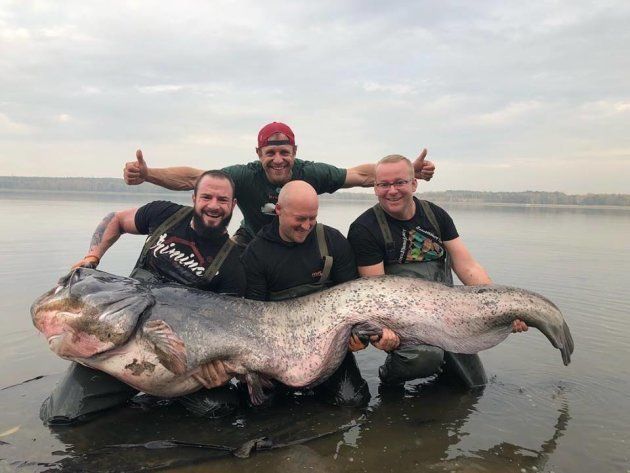 巨大ナマズを釣り上げたぞ なんと重さ100キロ以上 ポーランドの男性 国内新記録では ハフポスト