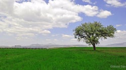 グリーンボンド発行10周年を記念し、合計12億米ドルのグリーンボンド二銘柄を発行。グリーンボンドの累積発行額は126億米ドル相当に