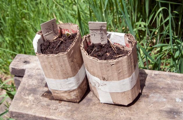 Handcrafted Biodegradable Pots