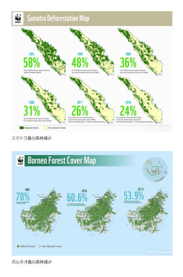 WWF Japan