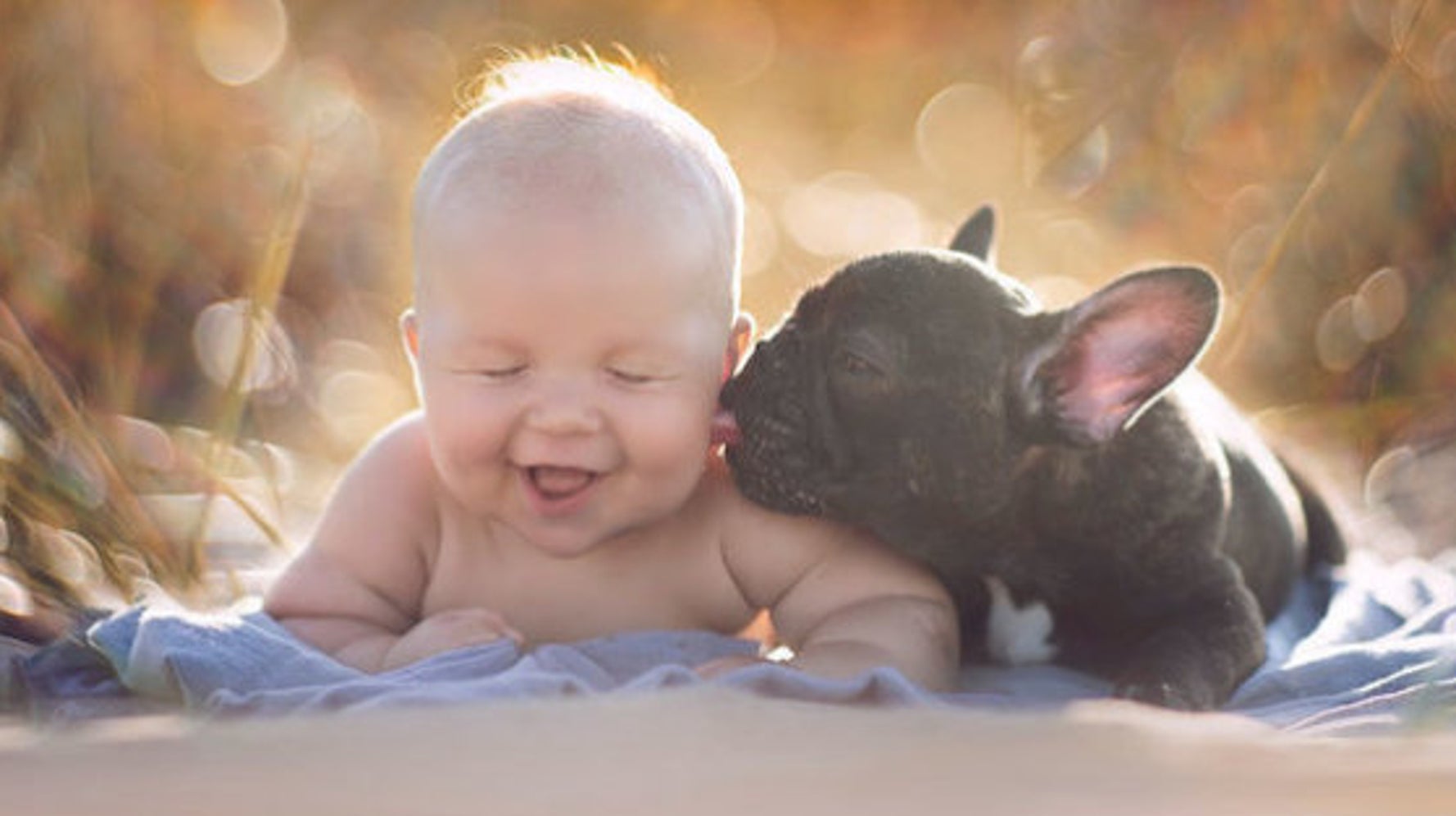 いつも一緒だよ 同じ日に生まれた赤ちゃんと子犬は 親友になった 画像集 ハフポスト Life