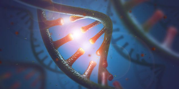 DNA and RNAの3Dイメージ画像
