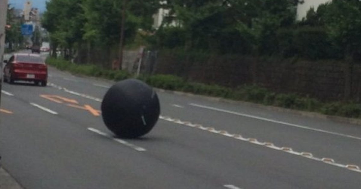巨大な 黒い玉 車道をゴロゴロ 正体めぐってネット騒然 ハフポスト 巨大な 黒い玉 車道をゴロゴロ 正体めぐってネット騒然 ハフポスト