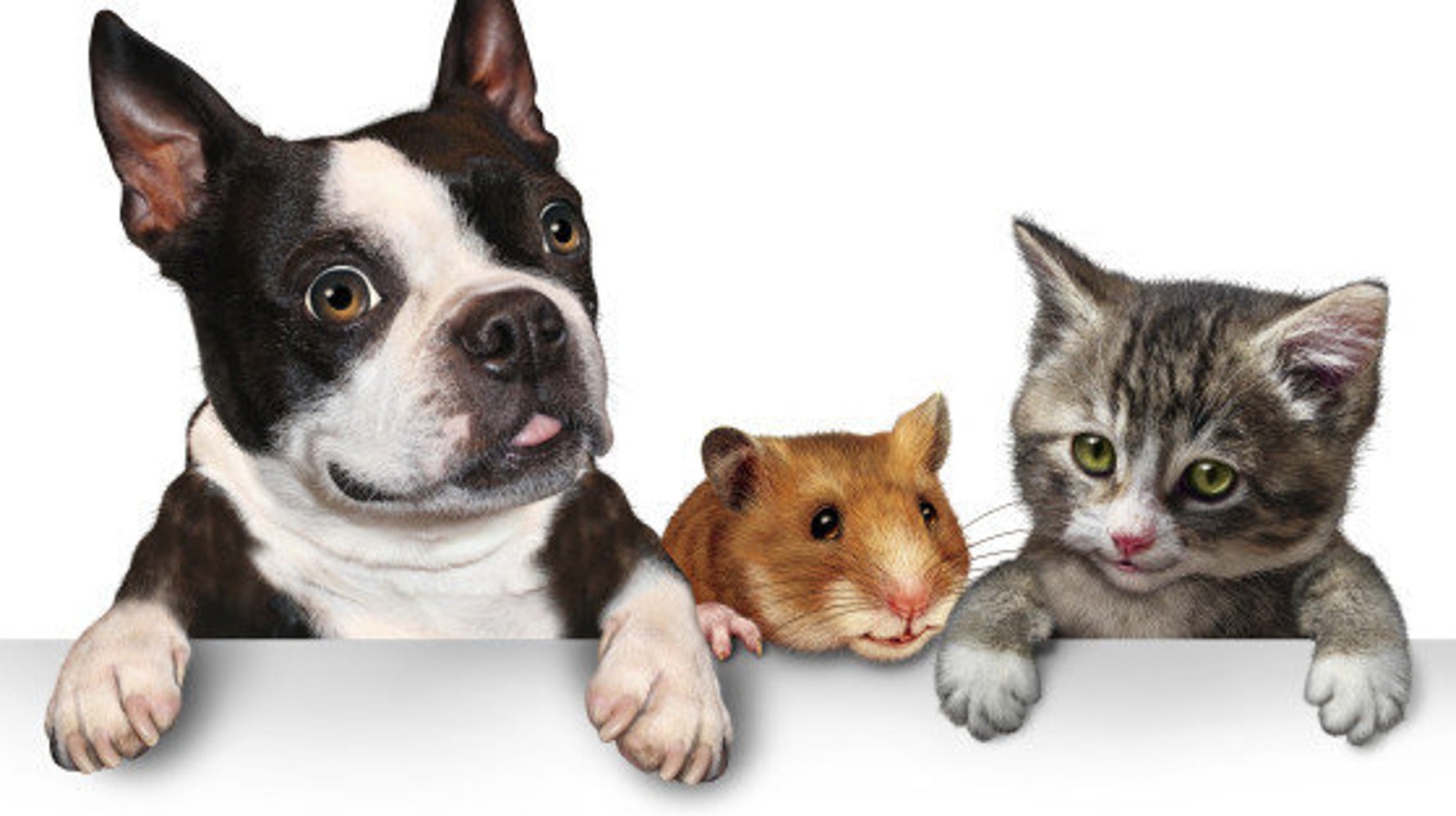 パーソナルスペースとは ハフポスト Life