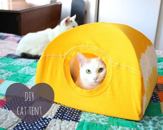 Tシャツでつくる猫用テント 超簡単で猫まっしぐら ハフポスト Life