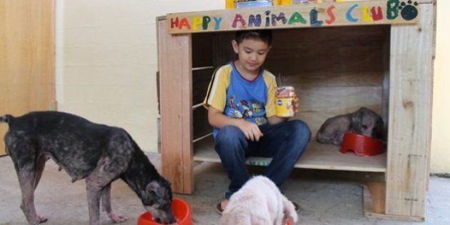 9歳の少年 飼い主のいない動物を助けるために立ち上がる 画像集 ハフポスト