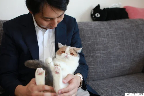 猫ちゃん抱っこしても大丈夫。「毛取り」してくれる宅配
