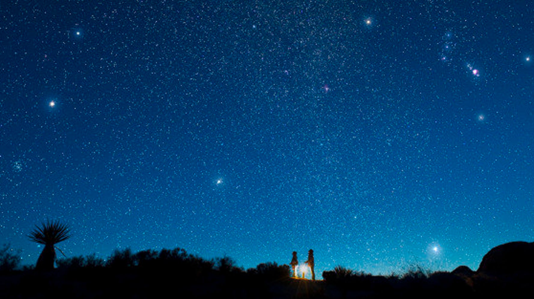 冬こそ夜空を見上げましょう 感動を呼ぶ宝石箱のような星々 ハフポスト Life