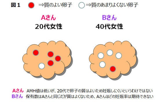 あなたは何歳まで妊娠できると思いますか 卵巣の予備能を知るamh検査 後半 知らなかったをなくし 後悔のないライフプランニングを ハフポスト Life