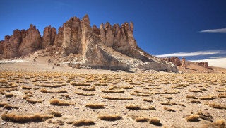 大雨がチリのアタカマ砂漠を幻想的な花畑に変えた ハフポスト News