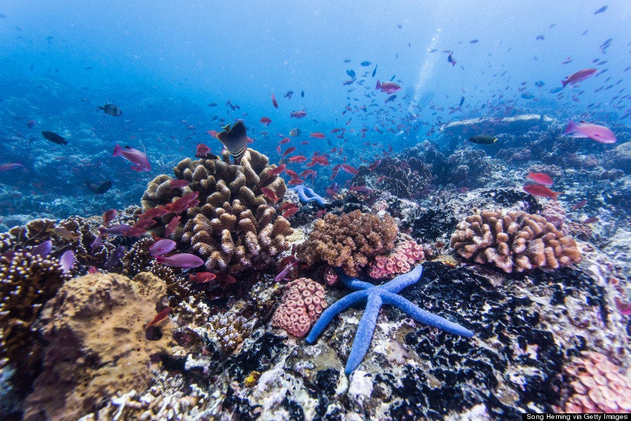 フィリピン パラワン島 世界最高の島 は完璧なパラダイス 画像 ハフポスト Life