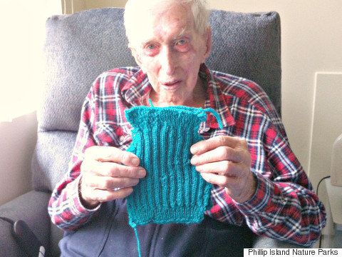 ペンギンのために編んだ小さなウールのセーターを手に微笑むデイトさん。