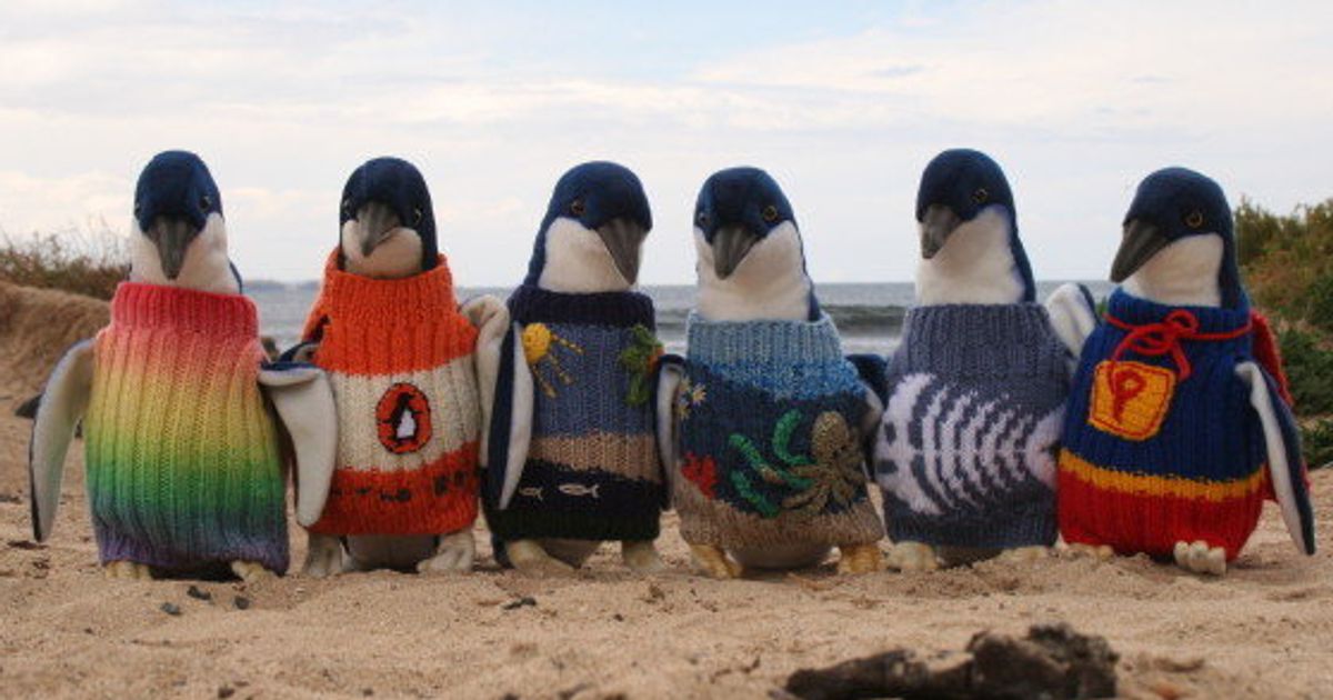 109歳のおじいちゃん ペンギンたちのためにセーターを編む 画像 ハフポスト