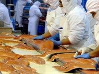 日本のスーパーで売られているチリ産の鮭を地元の人が食べない理由 ハフポスト