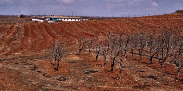 NAMPO, SOUTH PYONGAN, NORTH KOREA - 1995/01/01: Arid farmland to the west of the North Korean capital Pyongyang. Desperately poor and with its economy still failing after years of mismanagement, the country continues to face the threat of famine with large numbers of workers in the countryside barely able to scrape a living. (Photo by Ben Davies/LightRocket via Getty Images)