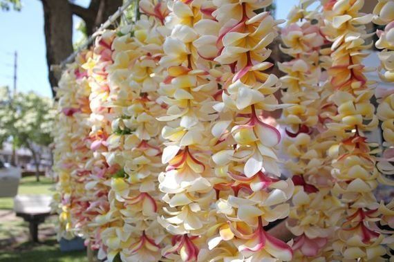 ハワイ写真集 Vol 13 花 貝 リボン 木の実 ハワイ文化の象徴 さまざまなレイ ハフポスト