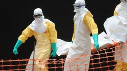 アフリカで蔓延しているエボラウィルス感染症、知っておきたいQ&A