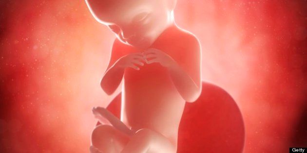 Foetus at 20 weeks, computer artwork.