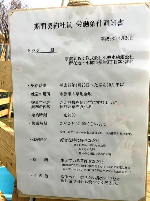 인 수족관, 양2두를 계약 사원에게 호대우인 「노동 조건 통지서」가 넷에서 화제