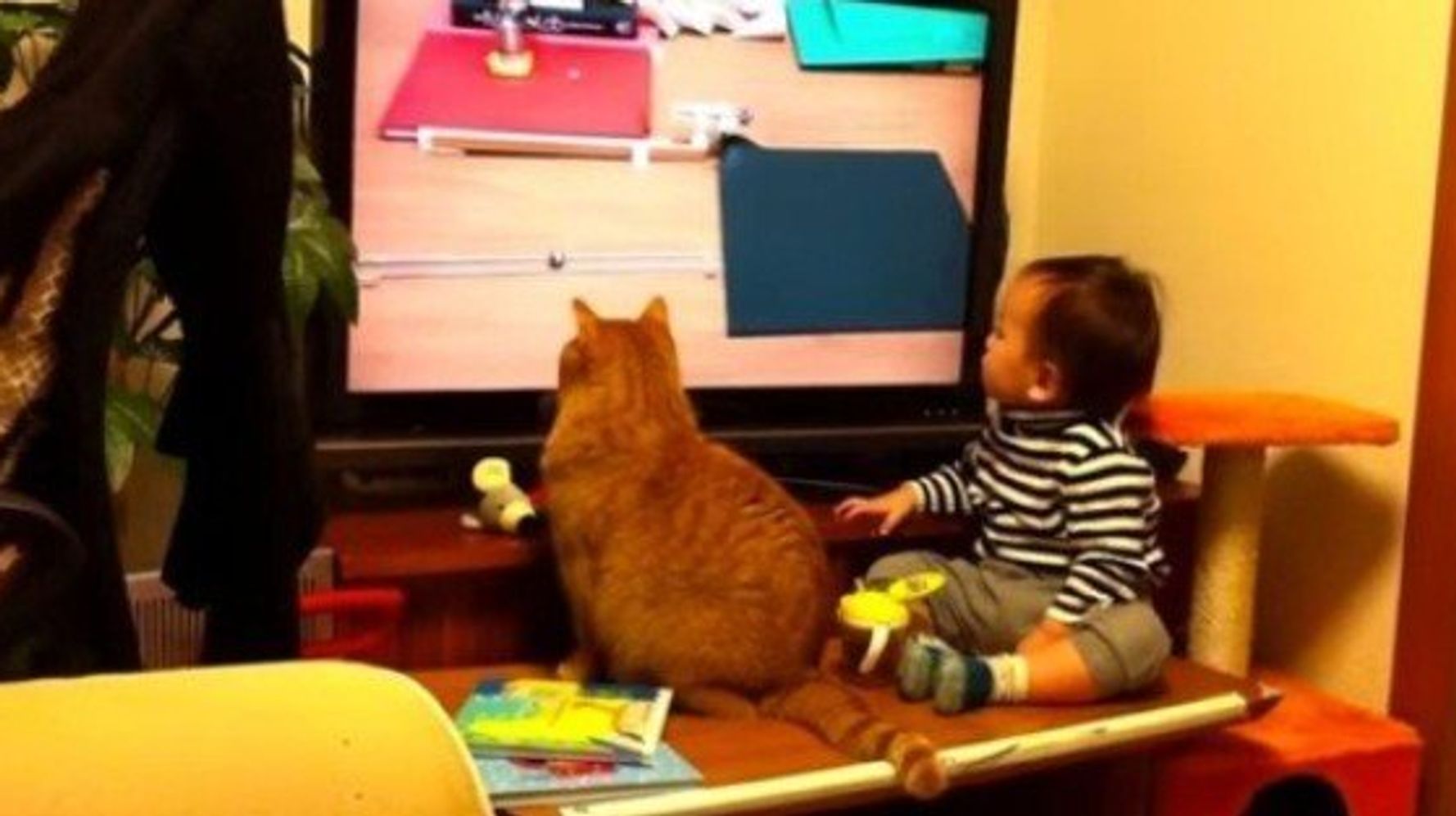ピタゴラ装置を見入る猫と男の子 自らも装置の一部になる ハフポスト Life