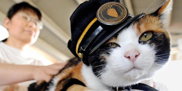 A woman strokes 'Tama', a nine-year-old female tortoiseshell cat wearing a stationmaster's cap of the Wakayama Electric Railway, as the feline sits on a ticket gate at Kishi station on the Kishigawa line in the city of Kinokawa, in Wakayama prefecture on May 22, 2008. The number of passengers who travel along the line increased 10 percent for the year to March 2007 from the previous year, credited to Tama after the 'stationmaster' cat appeared at the unmanned small station. AFP PHOTO/Toru YAMANAKA (Photo credit should read TORU YAMANAKA/AFP/Getty Images)