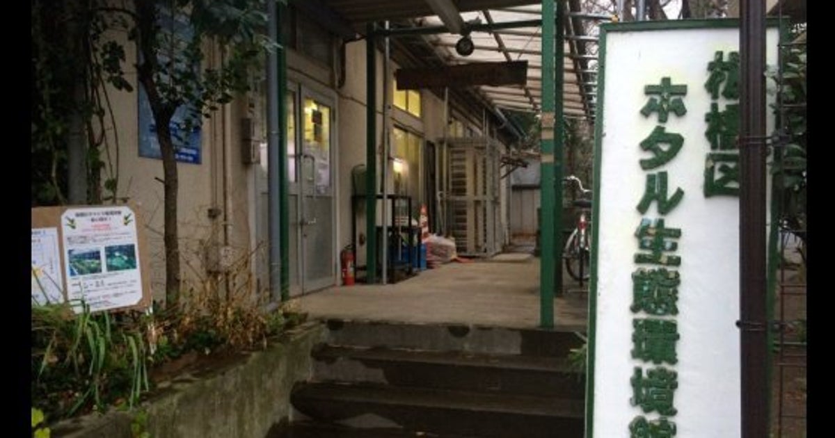 Web site image
