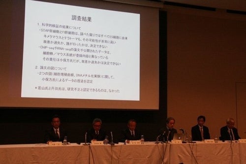 STAP細胞問題とは何だったのか？ | ハフポスト NEWS
