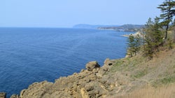 能登半島、ミゾゴイの生きる里山の保全を要請