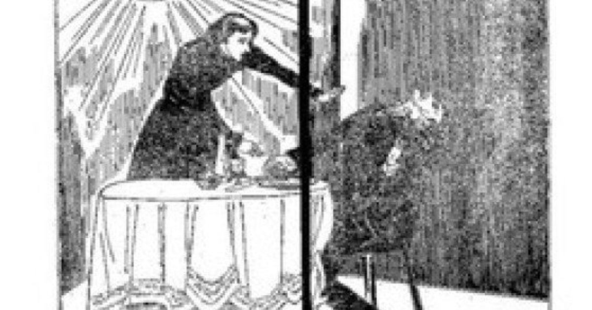 明治の怪ジャーナリスト黒岩涙香の翻案小説『生命保険』を読んで－生命