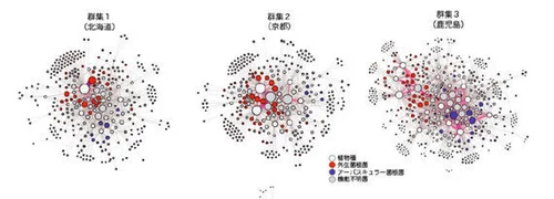 植物の進化 基本概念からモデル生物を活用した比較・進化ゲノム学  /学研メディカル秀潤社/清水健太郎（大型本） 多種生物種ネットワークを基に生態学と進化学をつなぐ