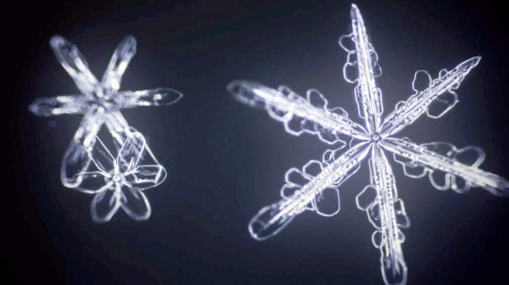 雪の結晶」ができるまでを撮影 あの六角形はこんなふうに花開く【動画