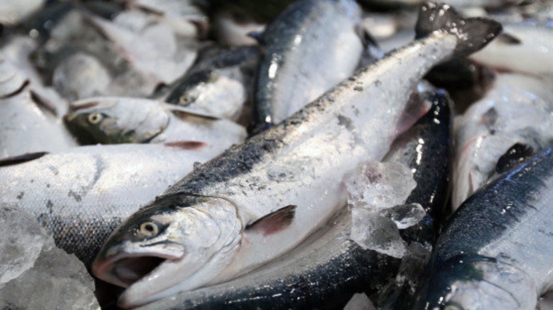 結局 魚は体にいいのか 悪いのか 大西睦子 ハフポスト Life 結局 魚は体にいいのか 悪いのか 大西睦子 ハフポスト Life
