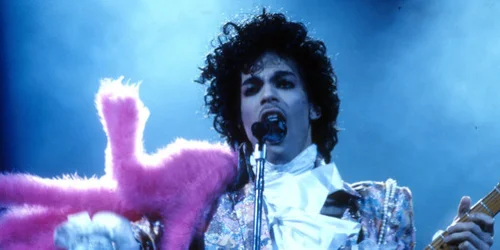 5c635e4c2400000d024adbc6.jpeg?