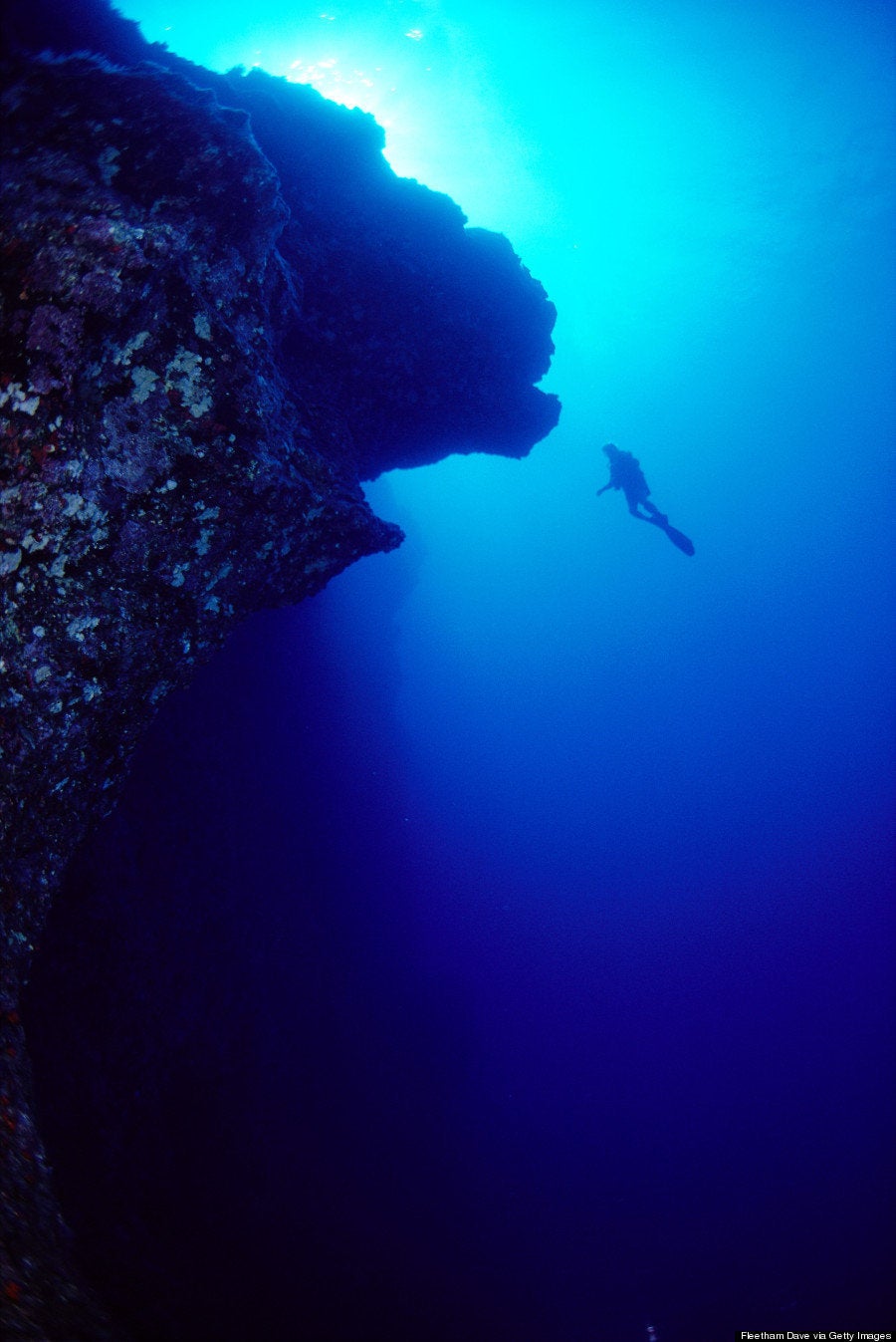 ハワイ モロキニ島は 夢が叶う島 シュノーケリングを楽しもう 画像 ハフポスト Life