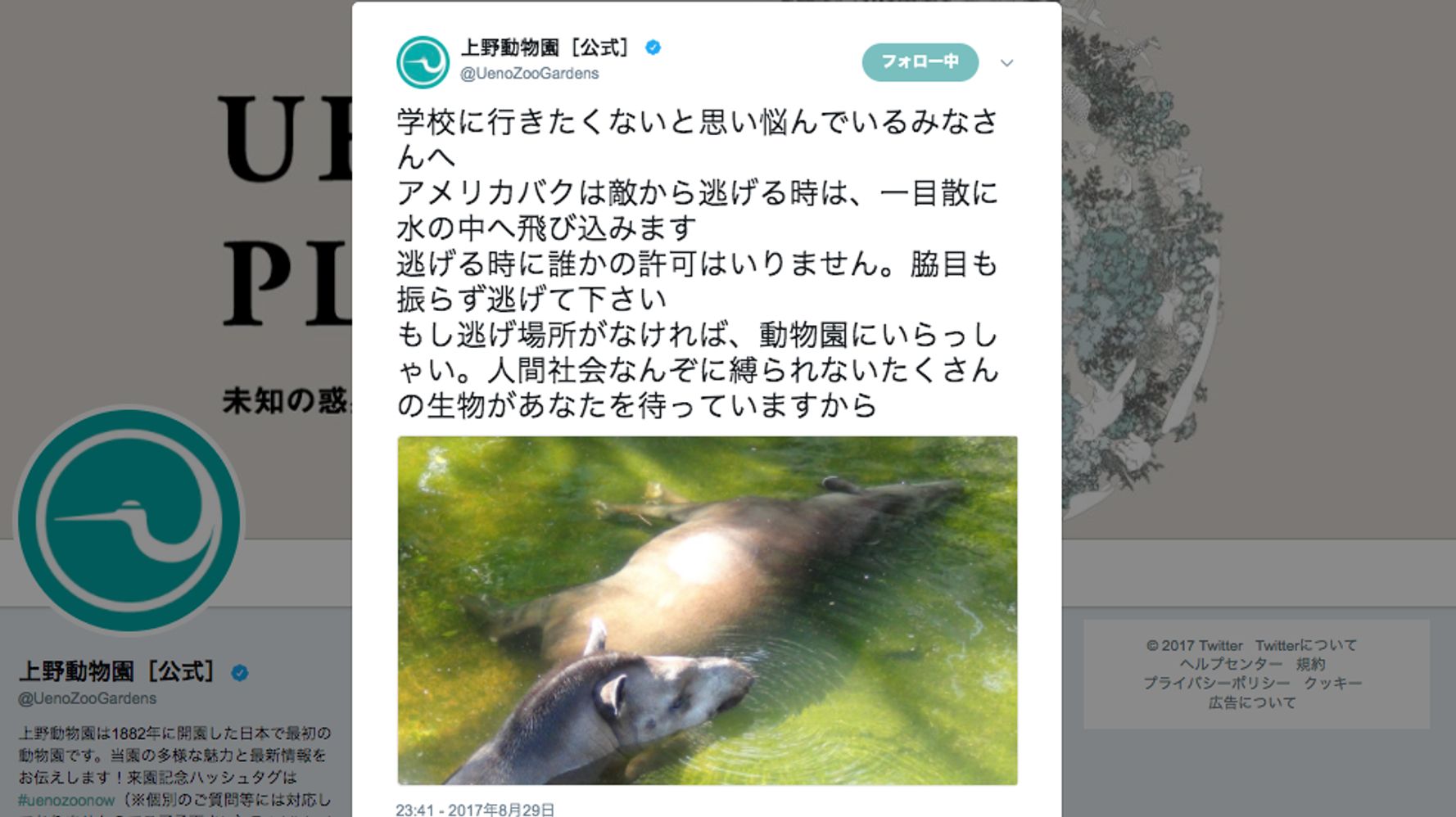 学校に行きたくない子は 動物園にいらっしゃい 上野動物園のメッセージに称賛の声 ハフポスト