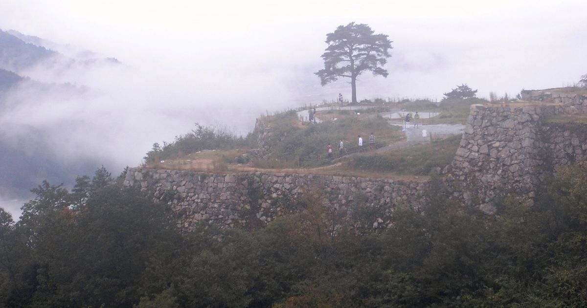 天空の城「竹田城」の一本松、 観光客急増で枯れる | ハフポスト NEWS