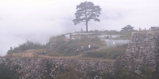 天空の城 竹田城 の一本松 観光客急増で枯れる ハフポスト