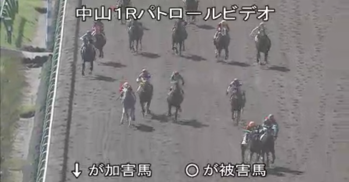 盗まれた馬 5c6362c12400000802a21667.png?