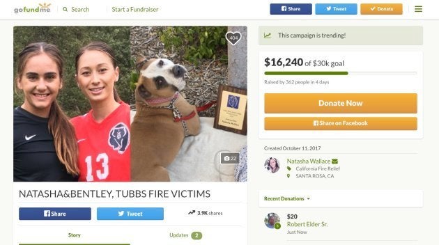 GoFundMeのページ