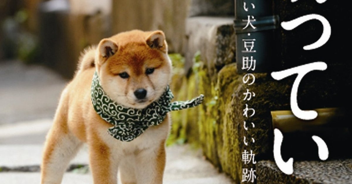 20代目の豆助が襲名披露 | ハフポスト NEWS