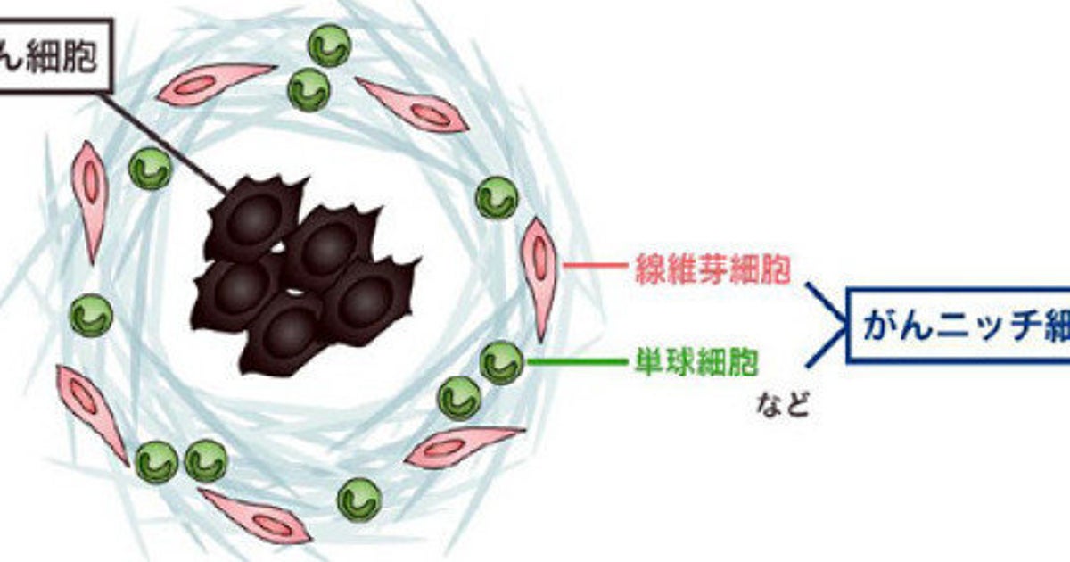 がんの転移抑える既存薬を発見 | ハフポスト NEWS