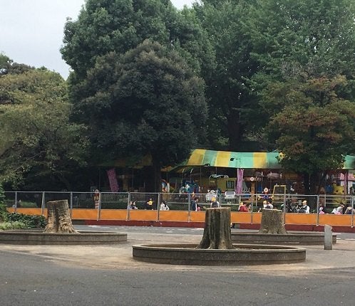 ●動物園前にあった3本の大木も伐られた。奥のこども遊園地はすでに閉鎖された＝酒井美和子さん撮影